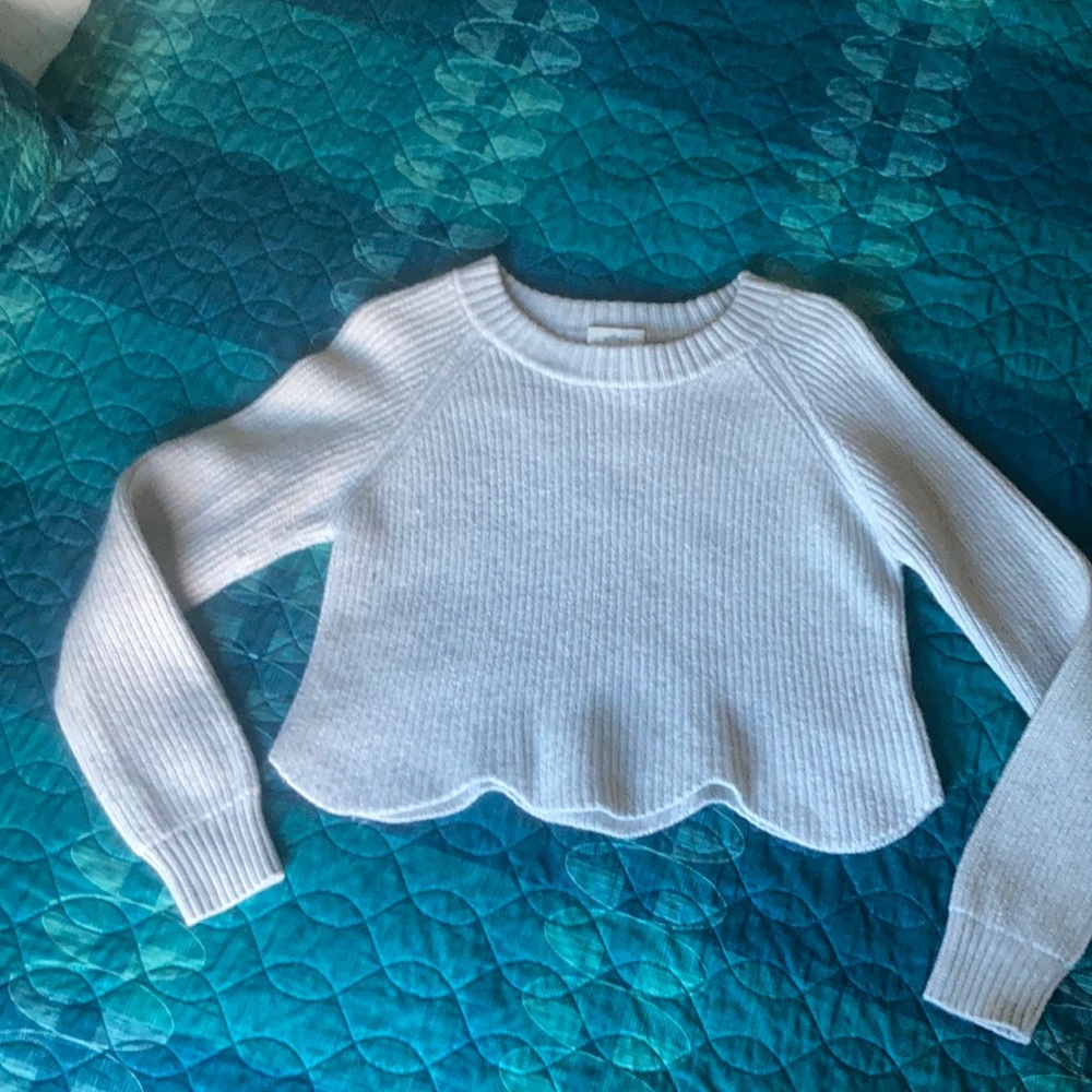Wilfred | Aritzia Sardou Sweater